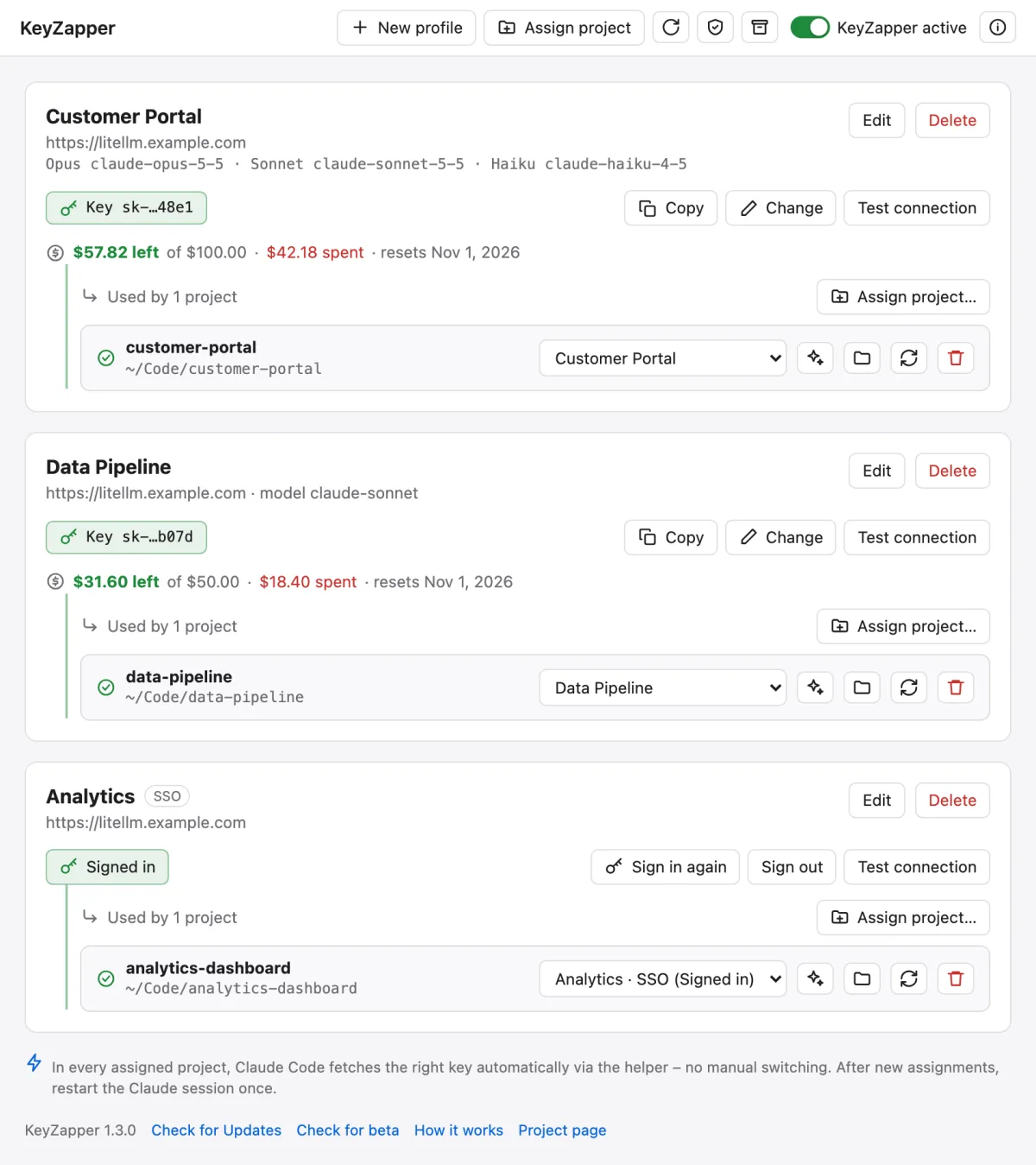 KeyZapper overview with two key profiles including budget, an SSO profile and assigned projects